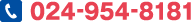 024-954-8181
